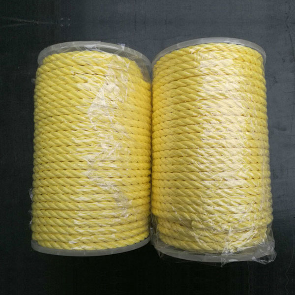 2017 wholesale price Virgin Polypropylene Baler Rope - High Strength 3 Strands Polyester Rope – Florescence
