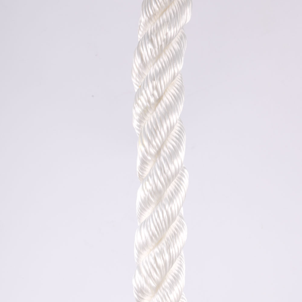 Discountable price 3 Strand Twisted Polyester Rope - High Breaking Load 100% Polyamide Fiber 3 Strand Twisted Nylon Rope For Marine Using – Florescence