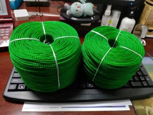100% PE Polyethylene 3 Strand Twisted Rope 2.5mm/3mm Rope