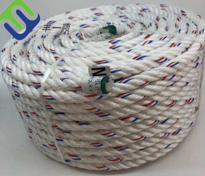 Special Price for Polyethylene Rope - Factory Supply 4 Strands PP Danline Rope 10mmx220m With Cheap Price – Florescence