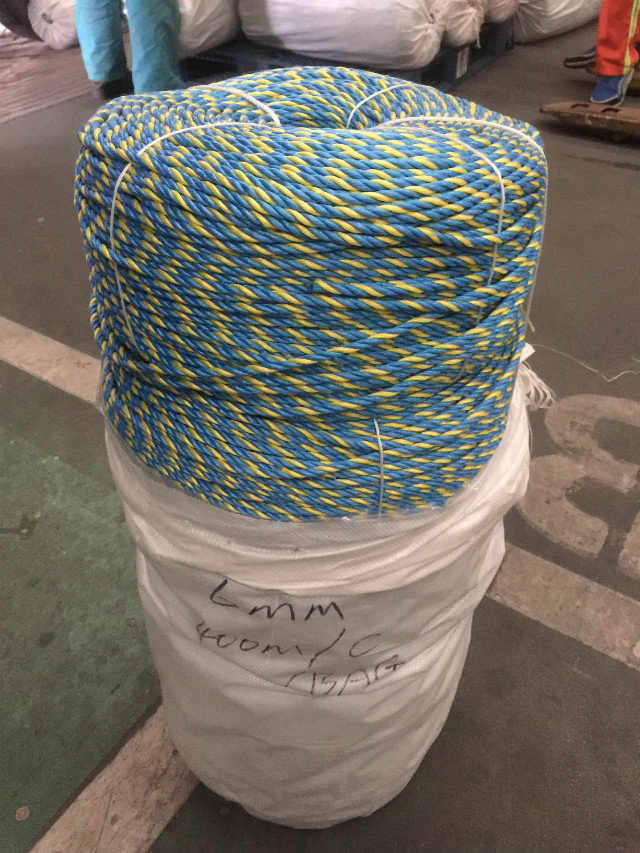 Factory making Winch Line - 6mmx400m 3 Strands Australia Market PP Telstra Rope – Florescence