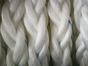 Monofilament 8 Strand Polypropylene PP Mooring Ropes with Eye Splices