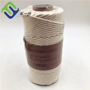 China 100% Pure Natural 3mm 3 Strand Twisted Cotton Rope factory