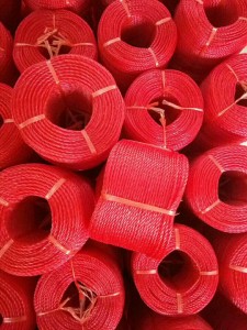 8mm/10mm/12mm Colorful PE Floating Rope Made in China