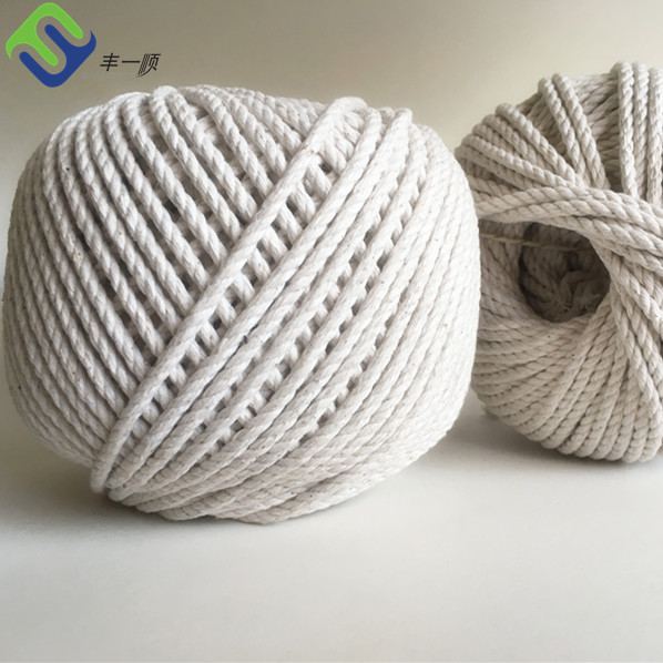 Cheap PriceList for Raw Color Sisal Twine - 3mmx100m Macrame Cotton Twisted Decorative Rope Hot Sale For Amazon Store  – Florescence