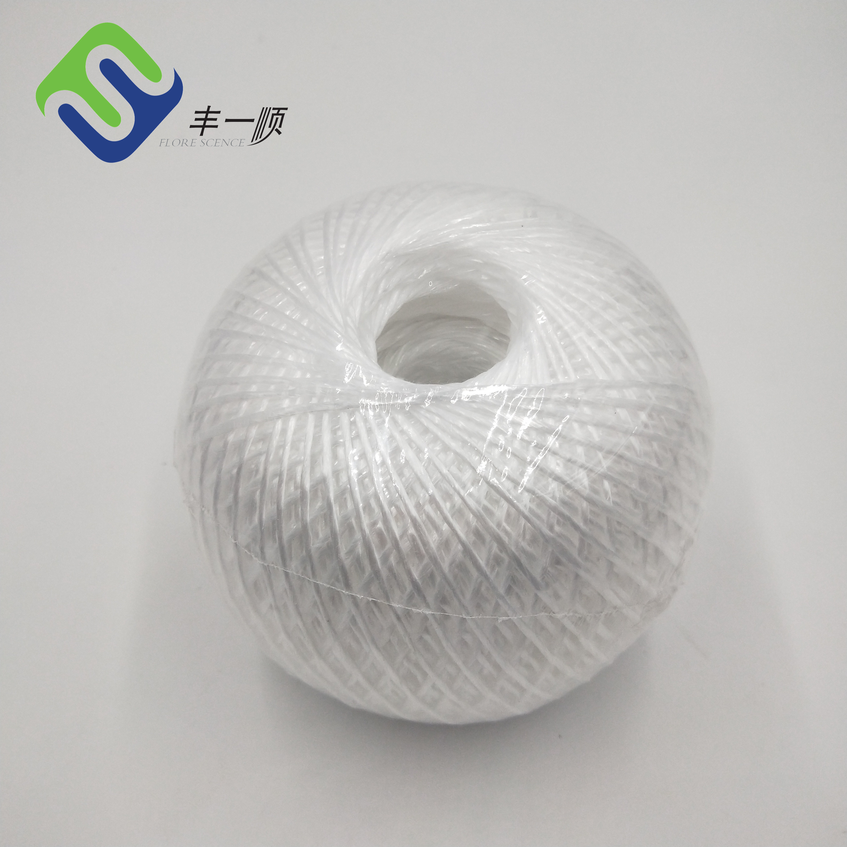 Reasonable price Plastic Braided Rope - Agricultural Polypropylene PP Plastic Raffia Twine Packing Rope  – Florescence
