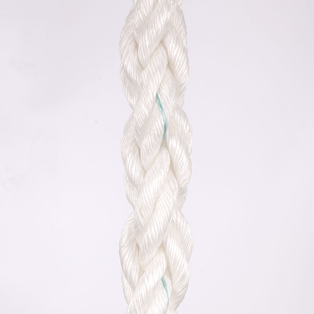 Hot-selling 12 Strand Braided Rope - High quality 8 strand PP danline rope manufacturer exporter in china – Florescence
