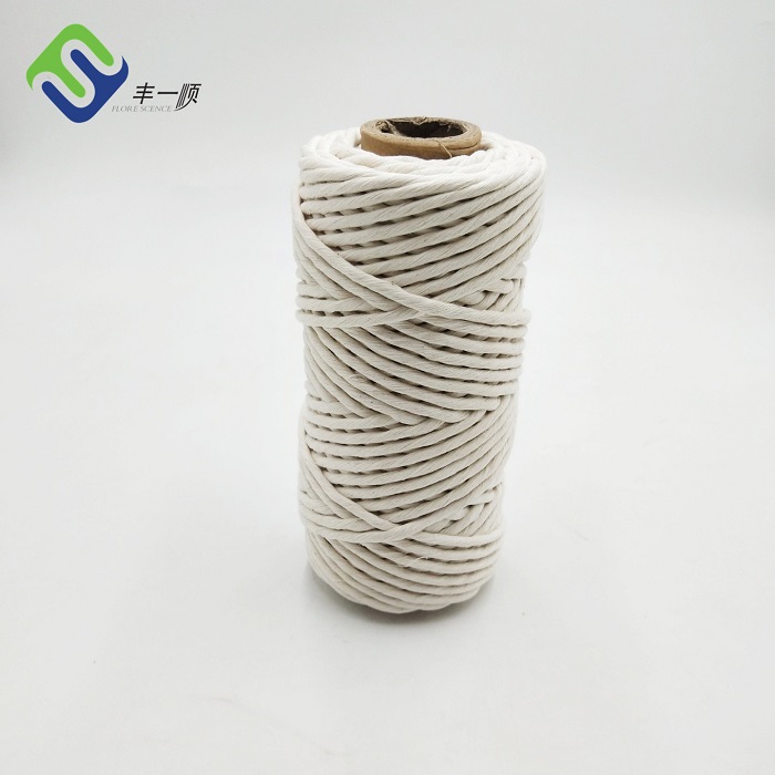 Low MOQ for Yacht Braid Rope 6mm - 100% Natural Pure cotton 5mm 100m single strand rope – Florescence