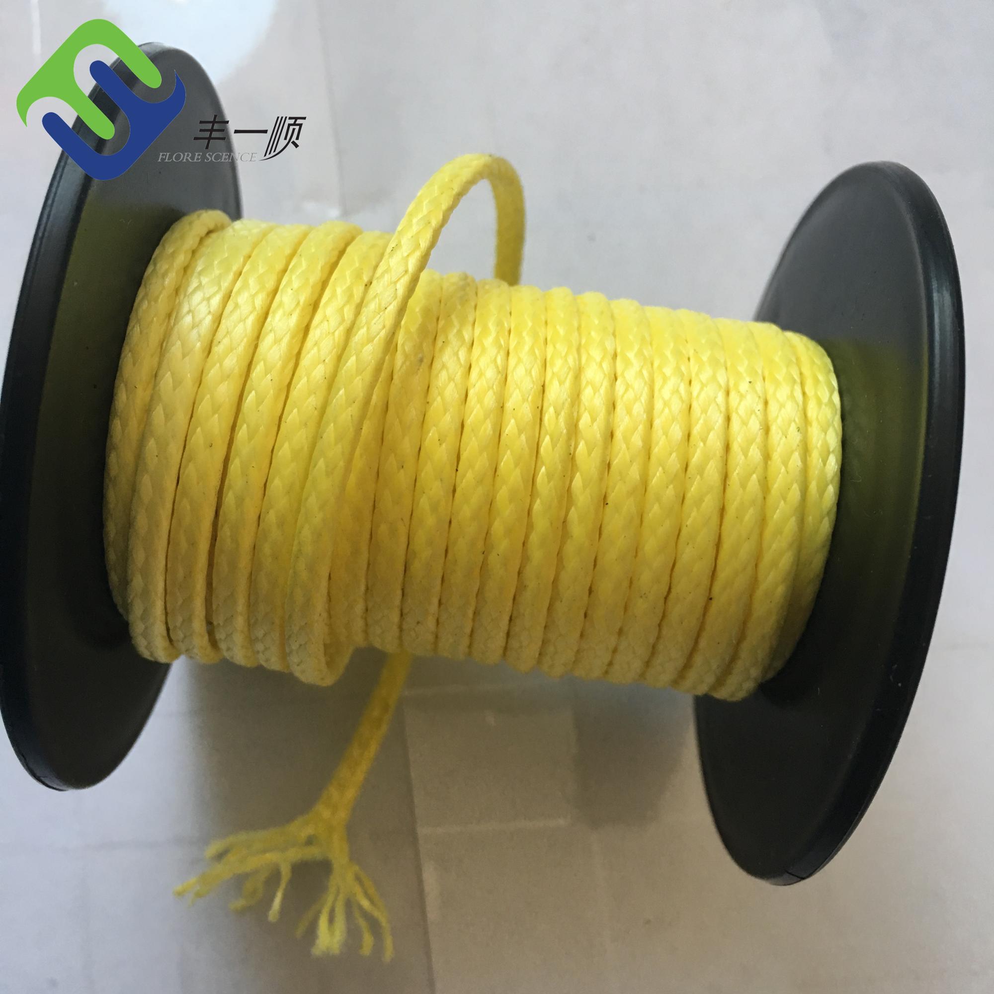 China Gold Supplier for 12 Strands Uhmwpe(Hmpe) Rope - Synthetic 2mm 3mm 12 Strand Braided UHMWPE Paraglider Winch Rope – Florescence