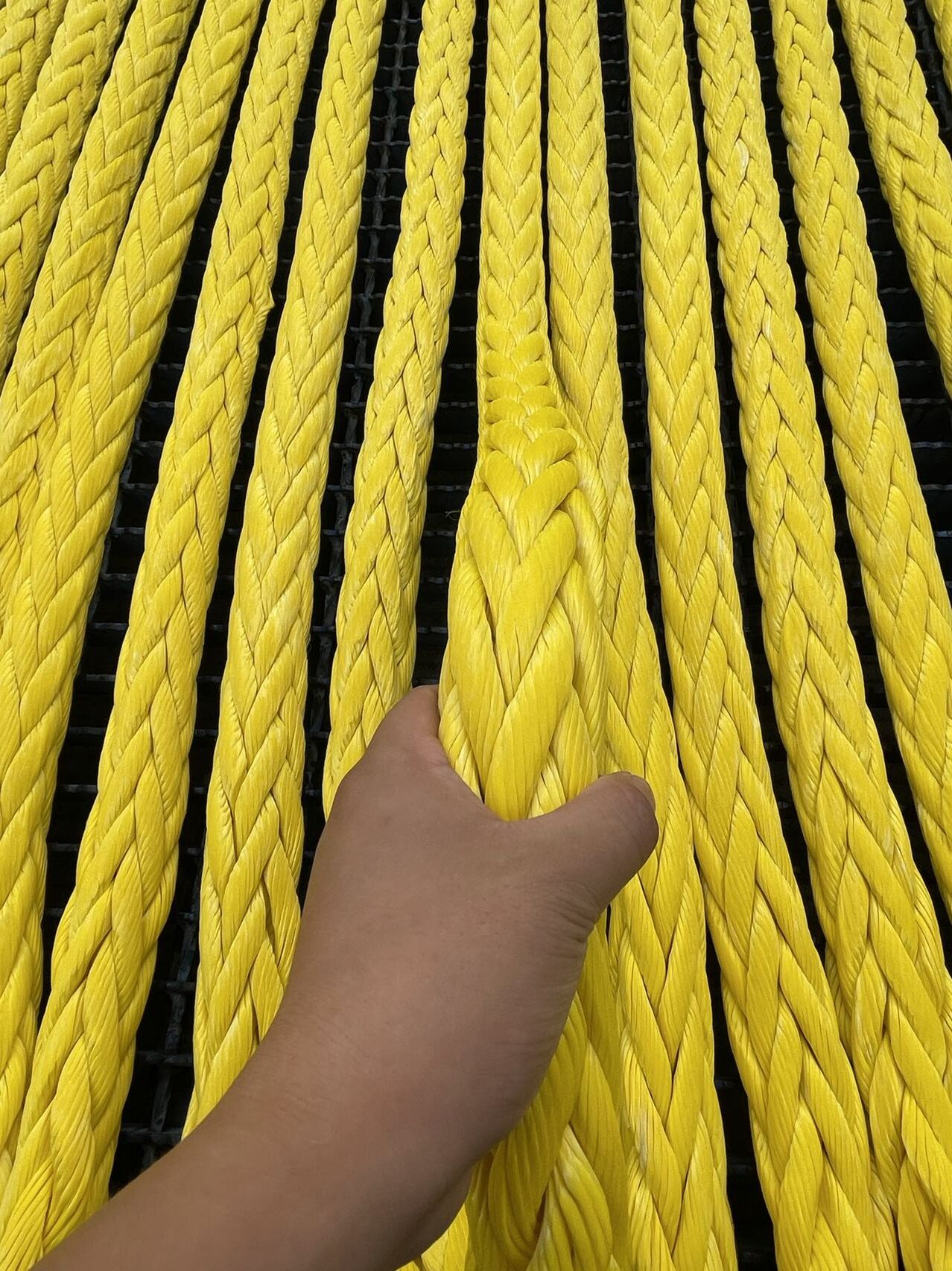 Factory making Winch Line - 48mm 8 Strand Braided UHMWPE Marine Rope For Ship Vessels – Florescence